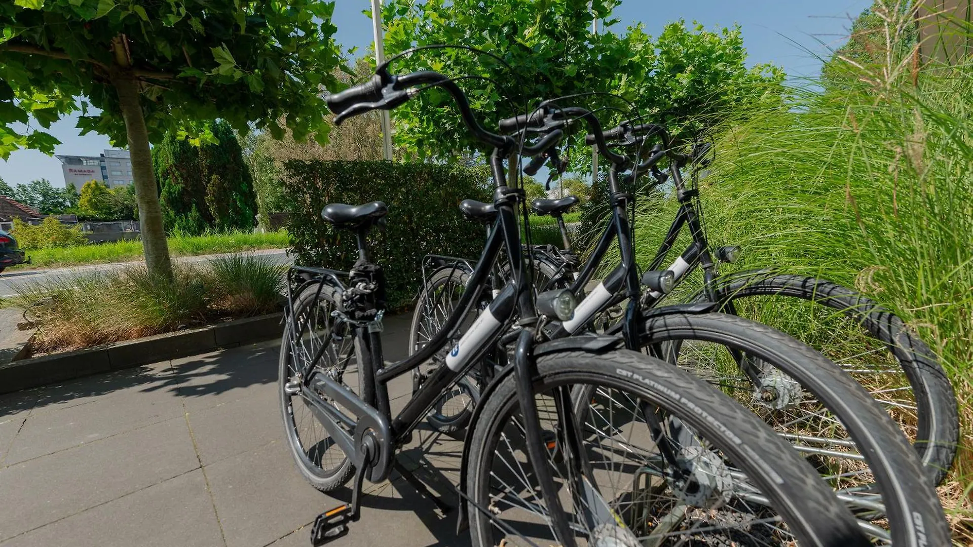 Boutique Hotel Herbergh Amsterdam Airport Free Parking Badhoevedorp 3*,